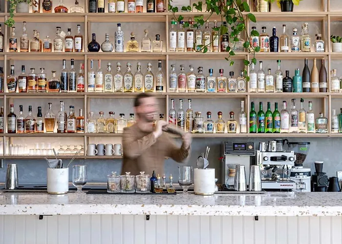 Top Reno Downtown Hotels for Urban Adventure